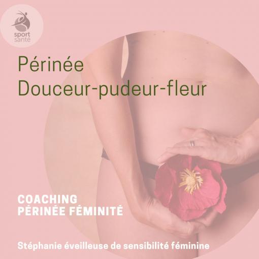 Périnée